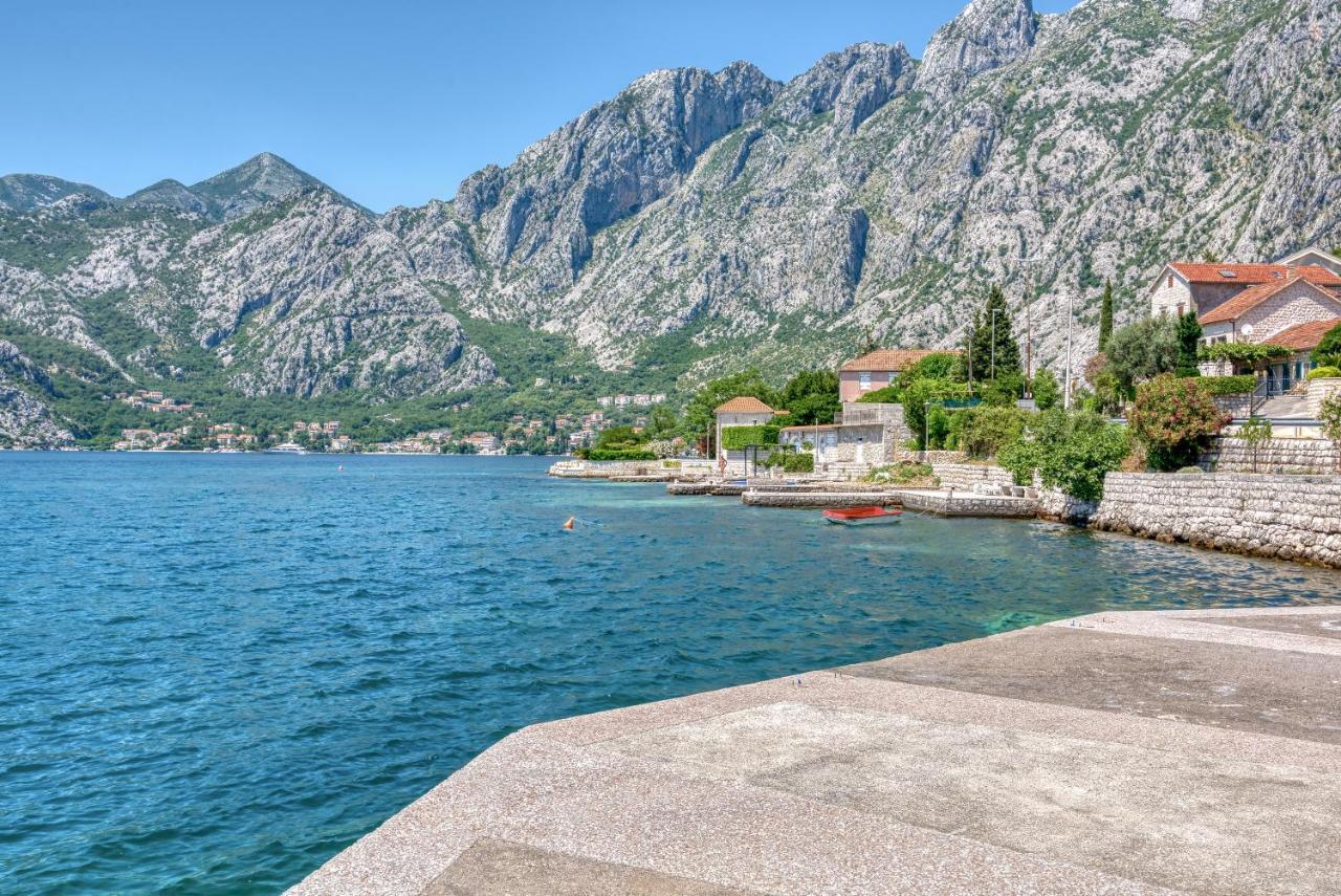Apartment Elegant Kotor Eksteriør billede